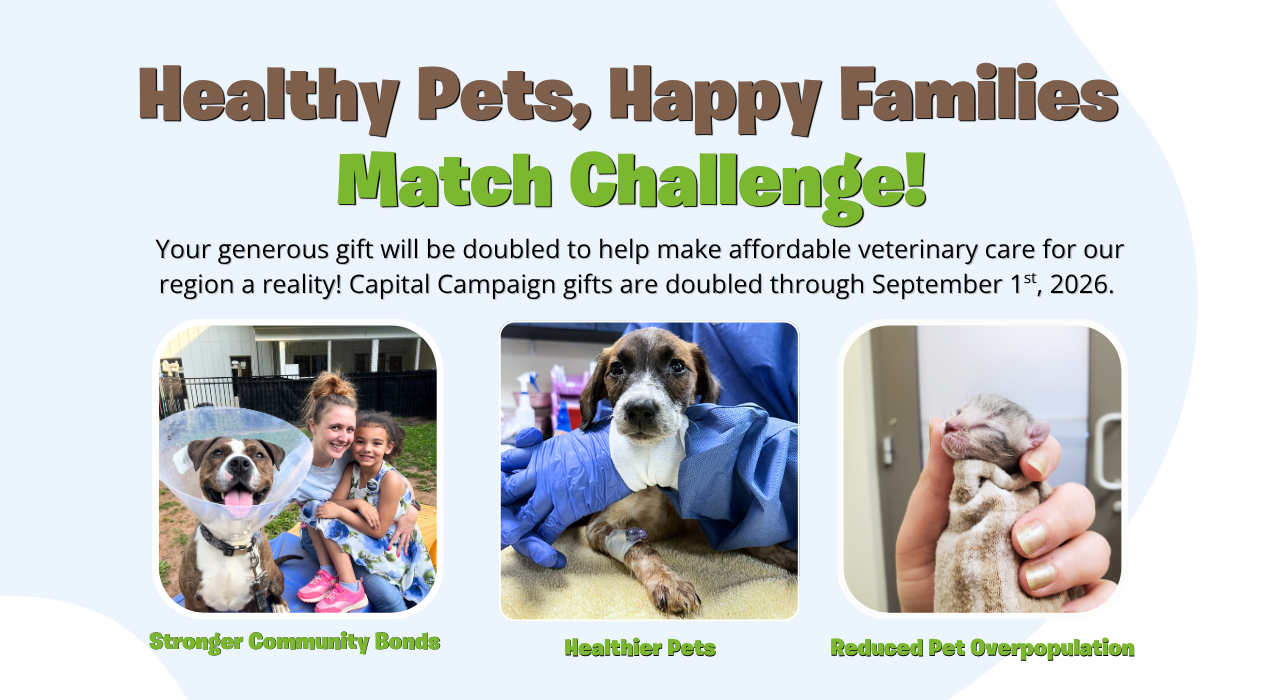 Veterinary Matching Program Support Our New Veterinary Clinic | Lynchburg Humane